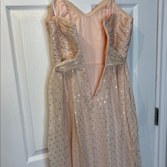 ⭐️ Jill Stuart Strapless Light Peach Silk Gown with Silver Accents - size 8 - Picture 12 of 13